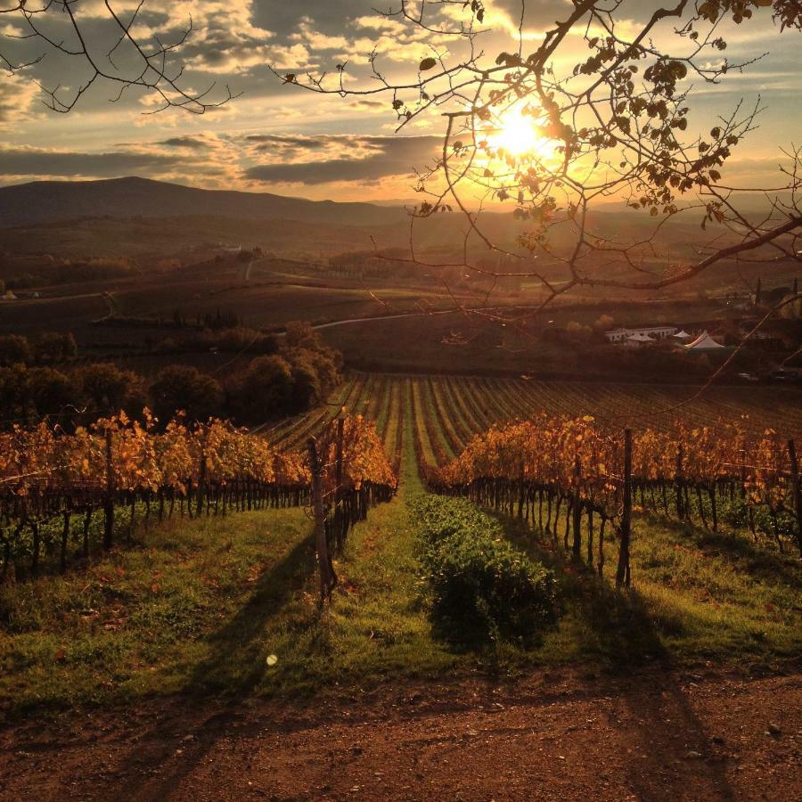 Residenza Cornino Apartment Castellina in Chianti Exterior photo